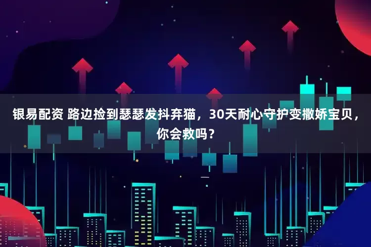 银易配资 路边捡到瑟瑟发抖弃猫，30天耐心守护变撒娇宝贝，你会救吗？