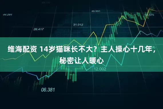 维海配资 14岁猫咪长不大？主人操心十几年，秘密让人暖心