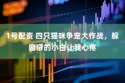 1号配资 四只猫咪争宠大作战，躲窗帘的小白让我心疼