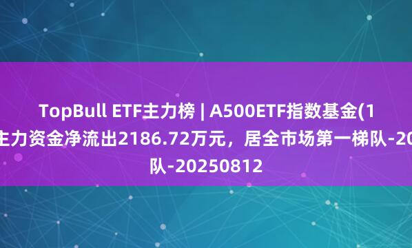 TopBull ETF主力榜 | A500ETF指数基金(159376)主力资金净流出2186.72万元，居全市场第一梯队-20250812